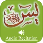 surah yaseen with audio android application logo